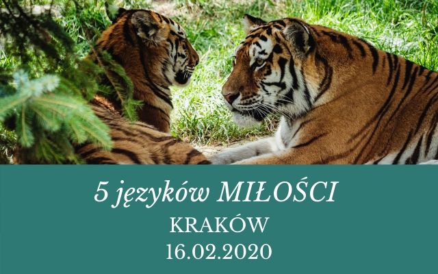 5 języków MIŁOŚCI